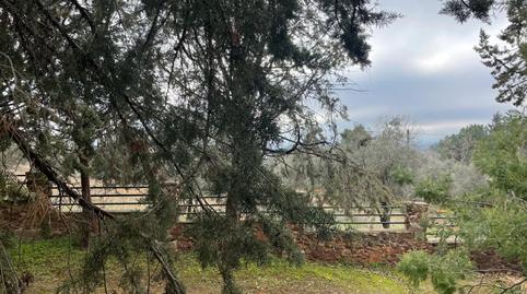 Photo 5 of House or chalet for sale in Carretera Carretera 721, La Poblechuela, Ciudad Real