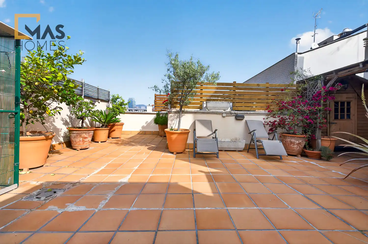 Ático con terraza en venta en Carrer de l'Escola Pia, imagen 15