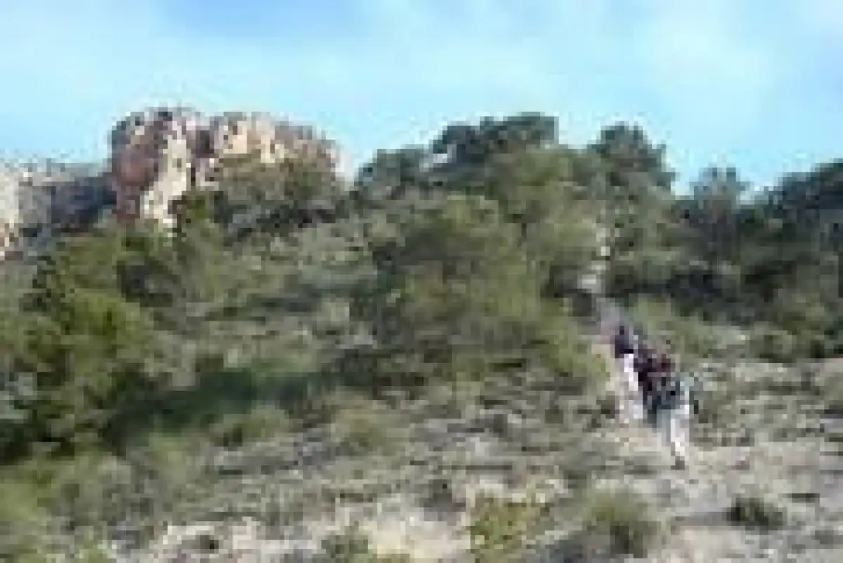 Vista exterior de Finca rústica en venta en Monóvar  / Monòver con Calefacción, Jardín privado y Piscina