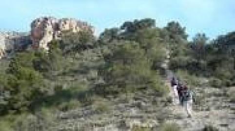 Foto 2 de Finca rústica en venda a Monóvar  / Monòver, Alicante