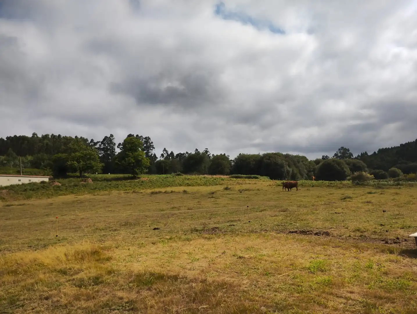 Terreno residencial en venta en Neda