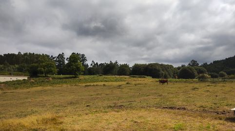 TERRENO EDIFICABLE EN ANCA DE 6000 M2