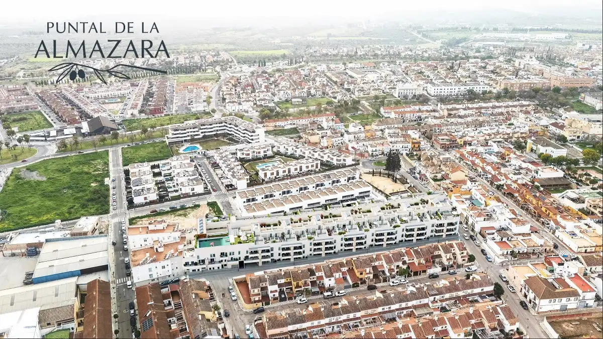Calle Nuestra Señora de los Dolores, 10, Centro