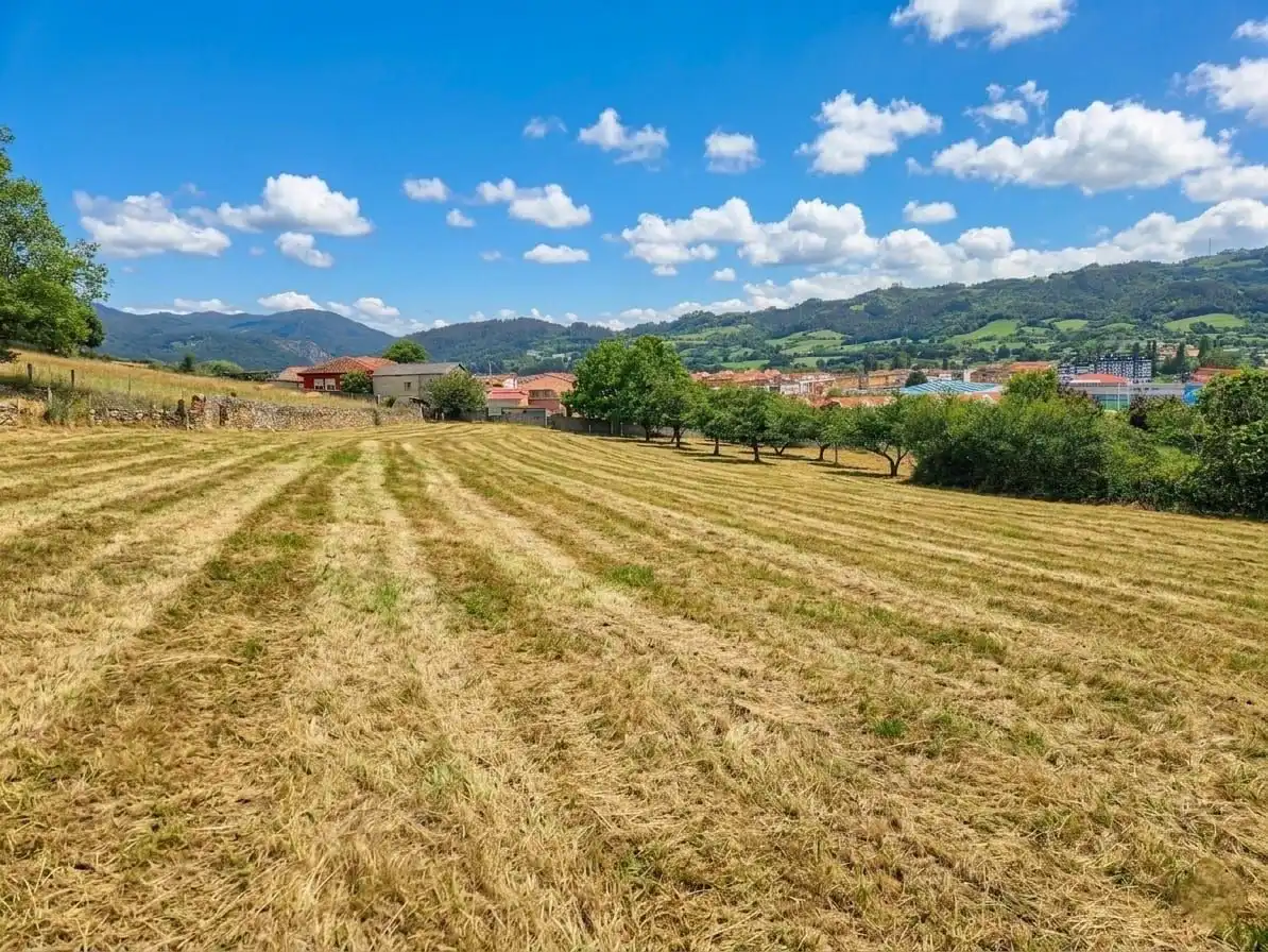 Residential for sale in Grado