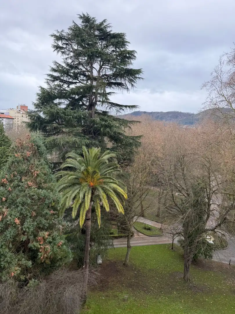 Flat with lift for sale in Calle Marqués de Santa Cruz, imagen 17