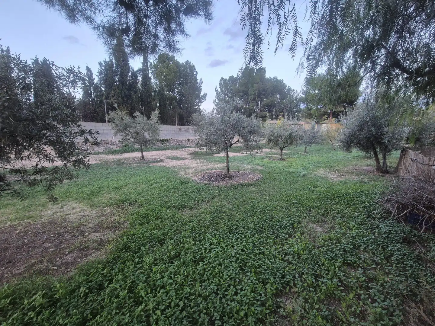 Finca rústica en venda a Campo Alto - Club de Campo