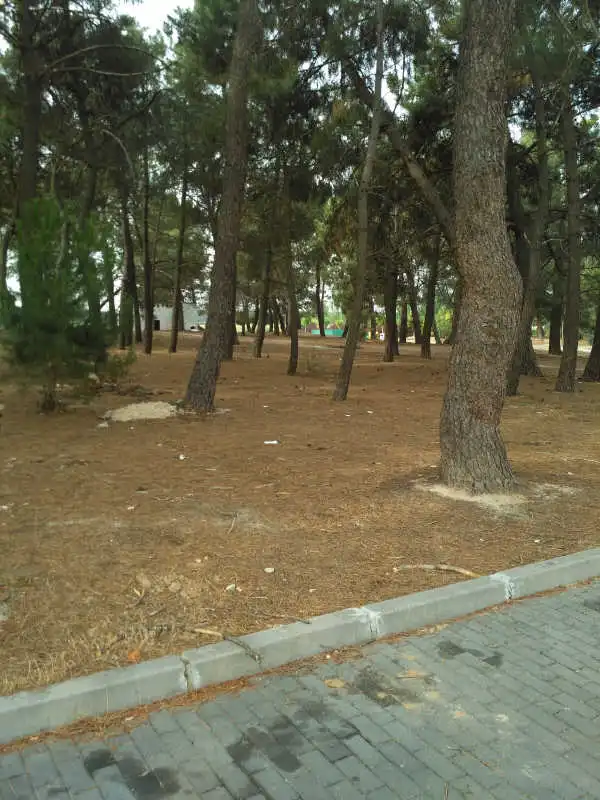 Terreno residencial en venta en Revuelta, imagen 2