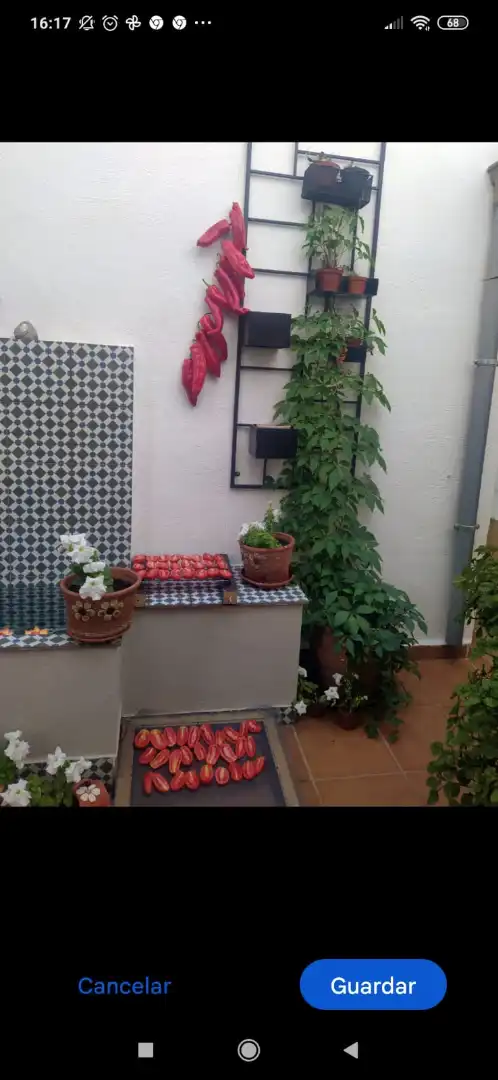 Piso con ascensor en venta en Centro, imagen 47