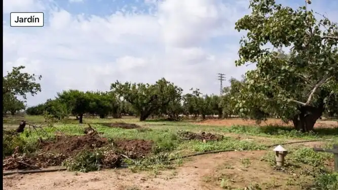 Casa o xalet en venda en Fuente Álamo de Murcia amb Jardí privat i Traster