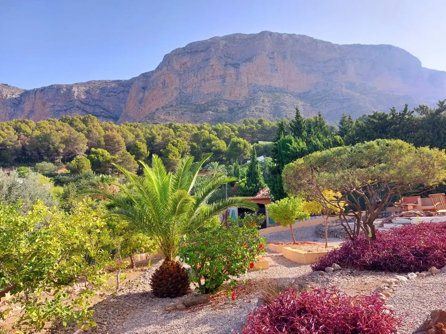 House with garden for sale in Montgó - Ermita, imagen 13