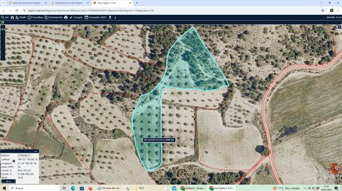 LOTE DE 3 FINCAS RÚSTICAS SITUADA EN REQUENA, immagine 3