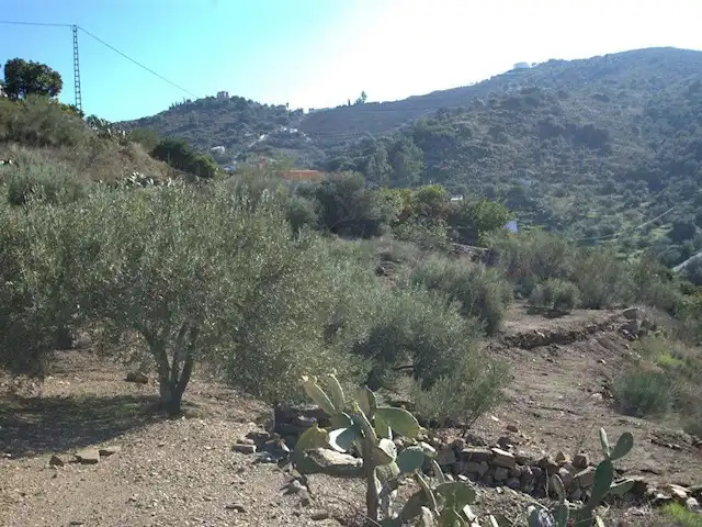 Terreni e lotti in vendita a Torrox Pueblo, imagen 6