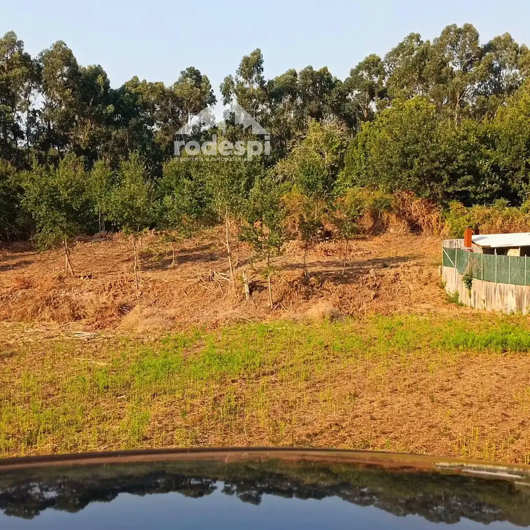 Lands and plots for sale in Mondariz, imagen 2