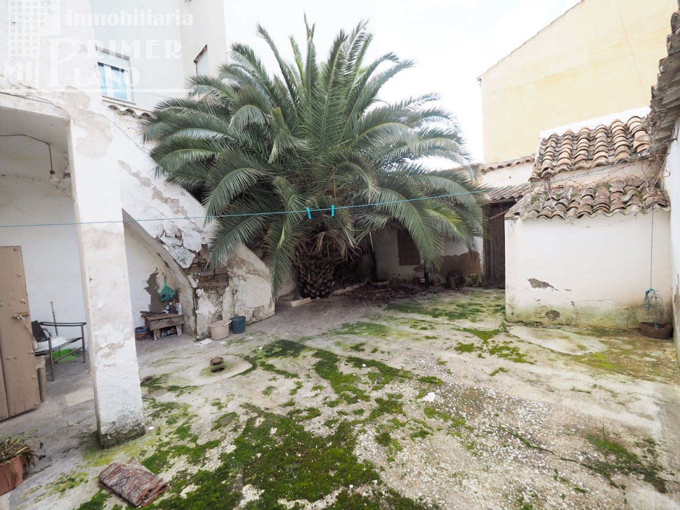 Jardí de Casa o xalet en venda en Tomelloso amb Jardí privat