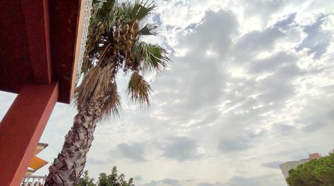 Foto 5 de Casa o xalet en venda a Cabanyes - Mas Ambrós - Mas Pallí, Girona