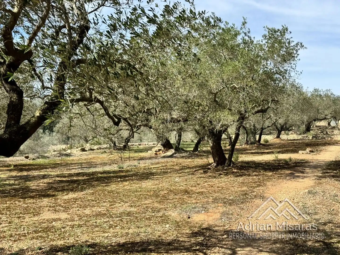 Terreno rústico en venta en L'Aldea, imagen 46