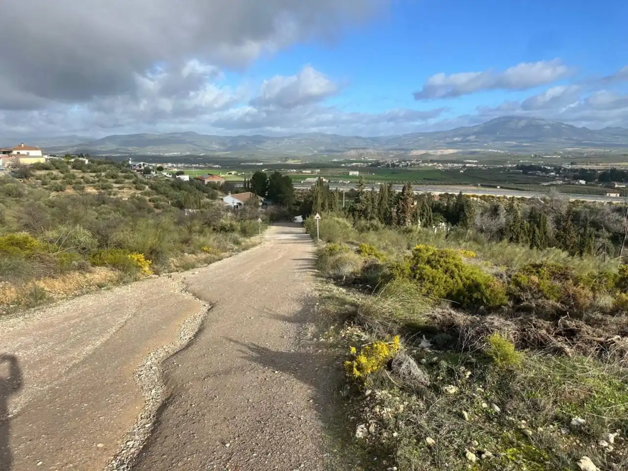 Terreny rústic en venda a Calle Riegos de Moraleda 1, imagen 14