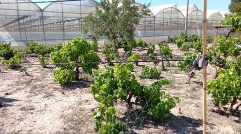 Foto 4 de Finca rústica en venta en El Mirador Pozo Aledo, San Javier