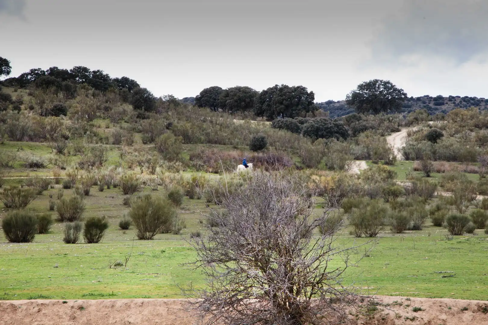 Terreny rústic en venda a Quijorna, imagen 7