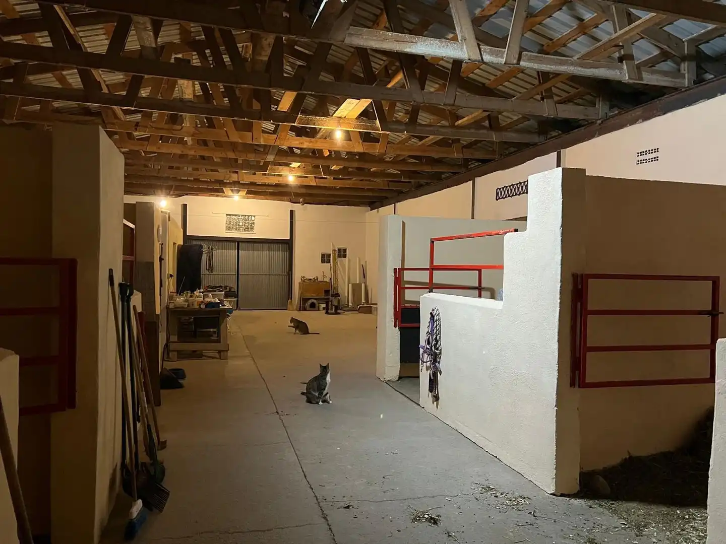 Casa en venta en Jumilla, imagen 33