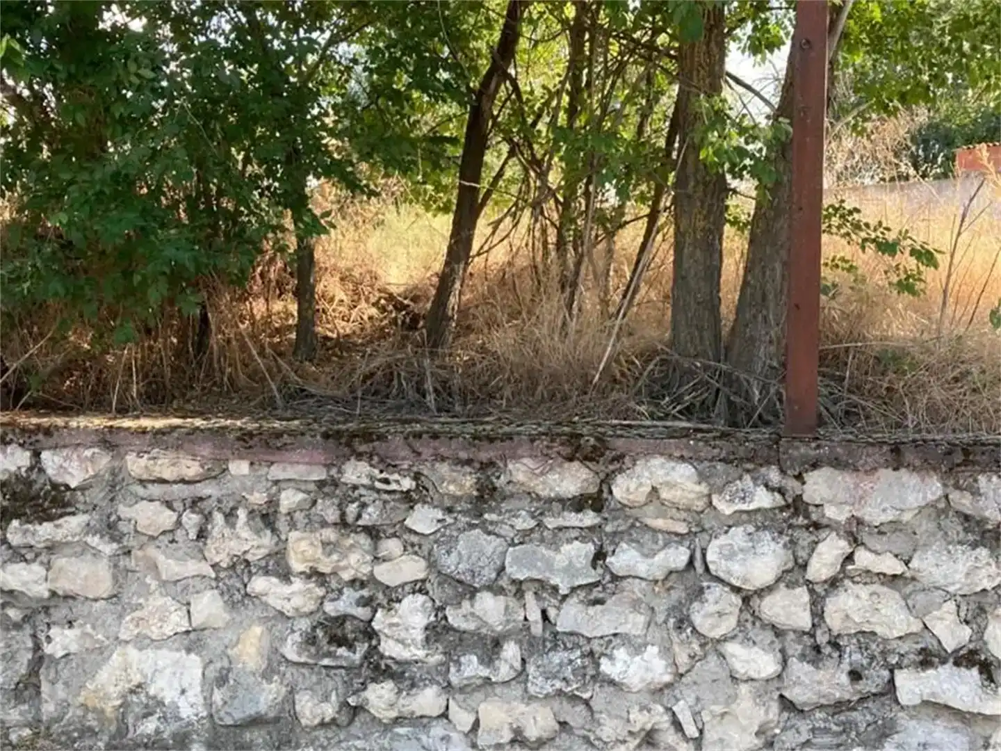 Terreno en venta en Olmos de Esgueva, Valladolid
