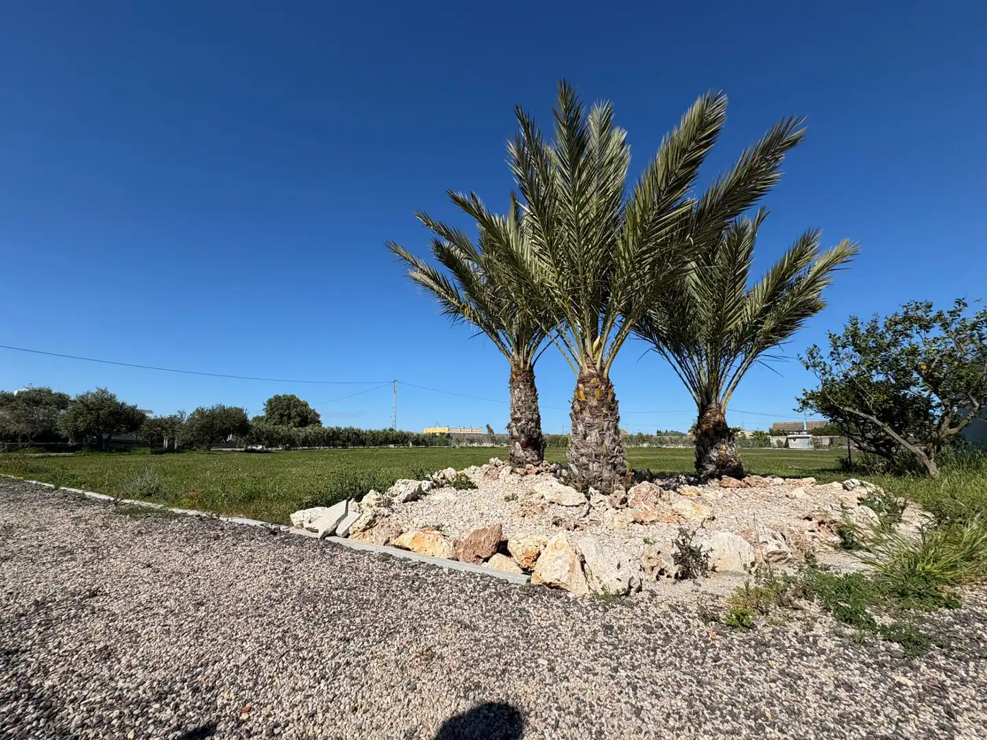 Detached house with garden to rent in El Marenyet, imagen 13