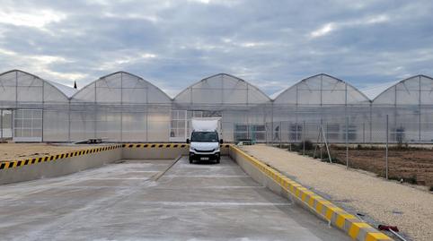 Photo 3 of Land for sale in Polígono 87 Paraje 10 Baya Baja, Las Bayas, Elche / Elx