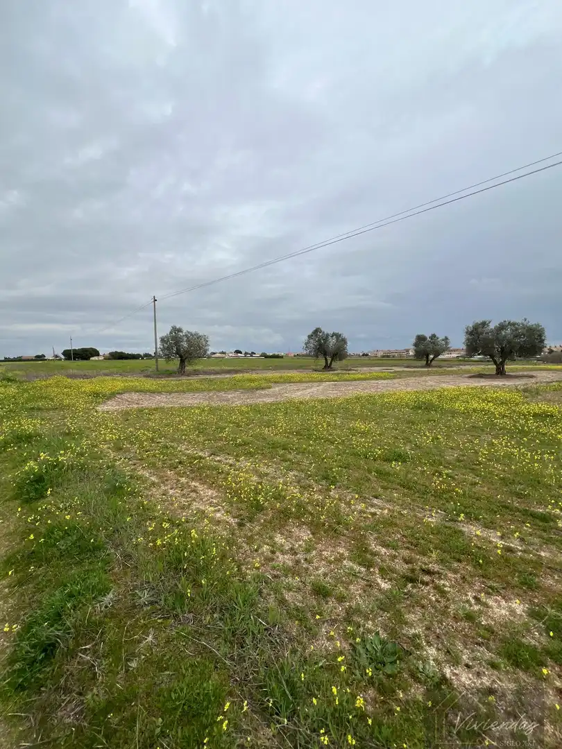 Terreny residencial en venda a El Viso de San Juan, imagen 9