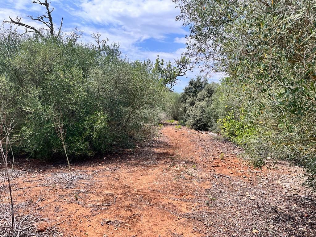 Finca rústica en venta en Llucmajor