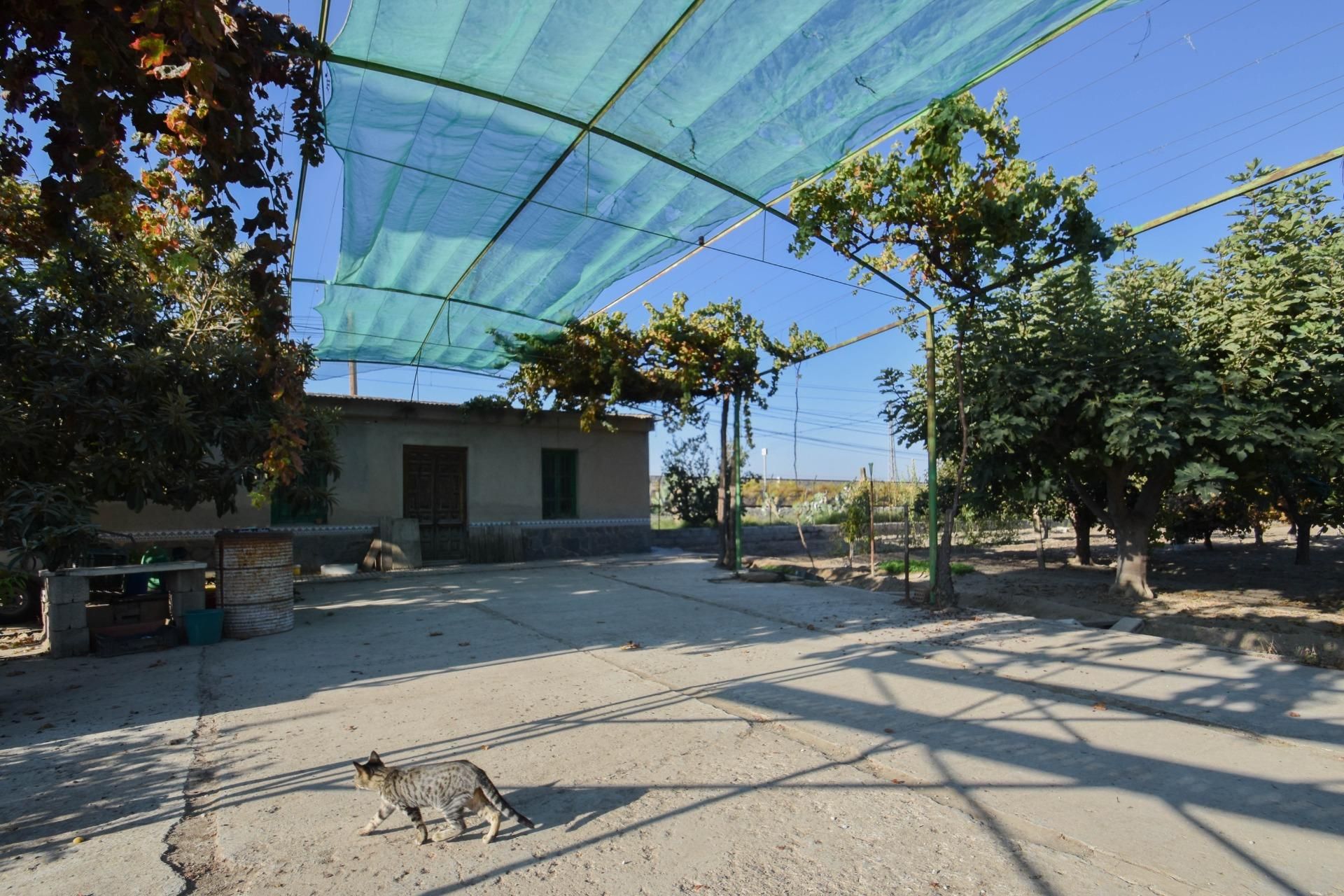 Exterior view of Country house for sale in Atarfe