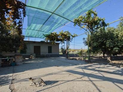 Vista exterior de Finca rústica en venda en Atarfe