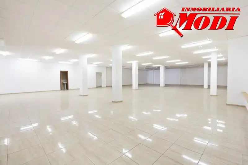Business premises for sale in Villa de Otura, imagen 22