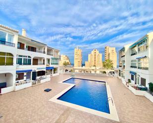 Swimming pool of Study to rent in Torrevieja  with Air Conditioner and Swimming Pool