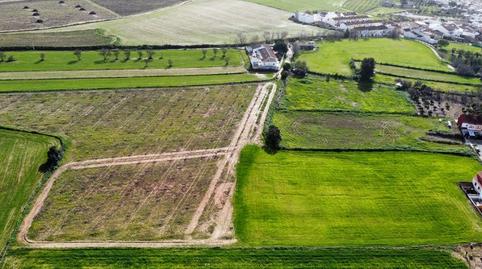 Foto 4 de Terreno en venta en Carretera Sc Subs, Carrión de los Céspedes, Sevilla