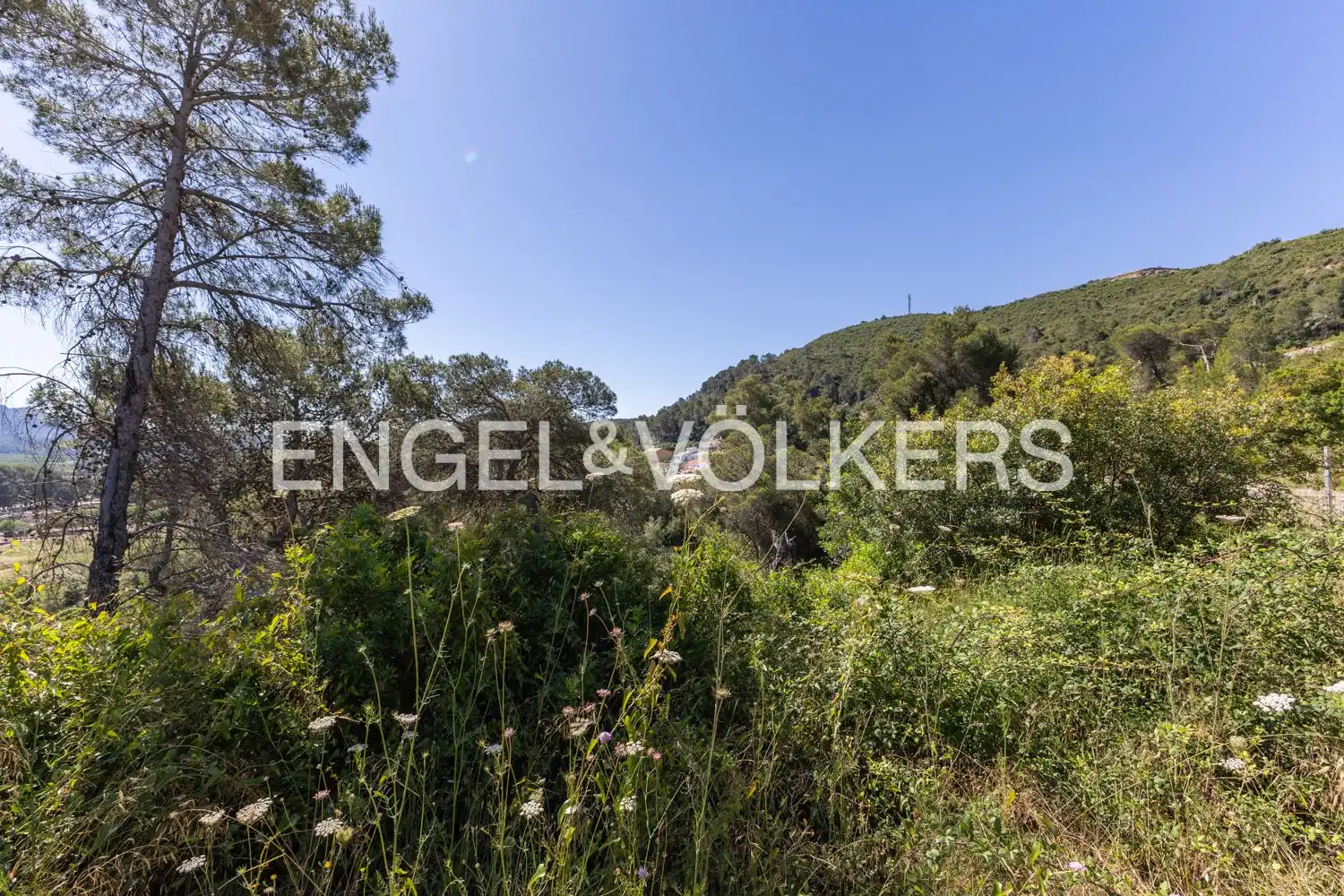 Residencial en venda en Carcaixent