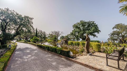 EXCEPCIONAL FINCA ANDALUZA EN VENTA EN MARBELLA ESTE, imatge 4