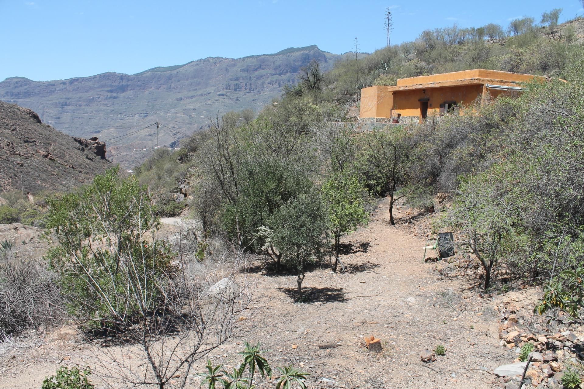 Exterior view of Country house for sale in Tejeda  with Private garden and Terrace