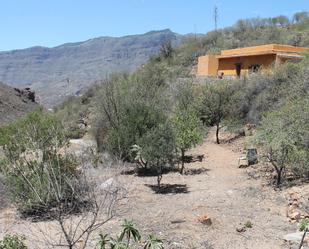 Vista exterior de Finca rústica en venda en Tejeda amb Jardí privat i Terrassa