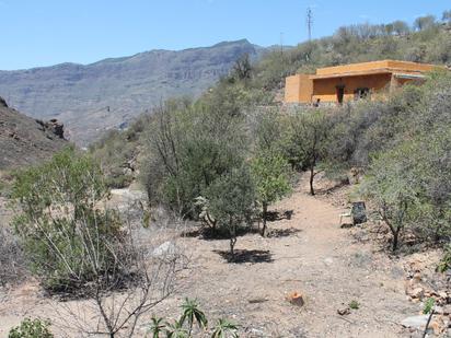 Vista exterior de Finca rústica en venda en Tejeda amb Jardí privat i Terrassa