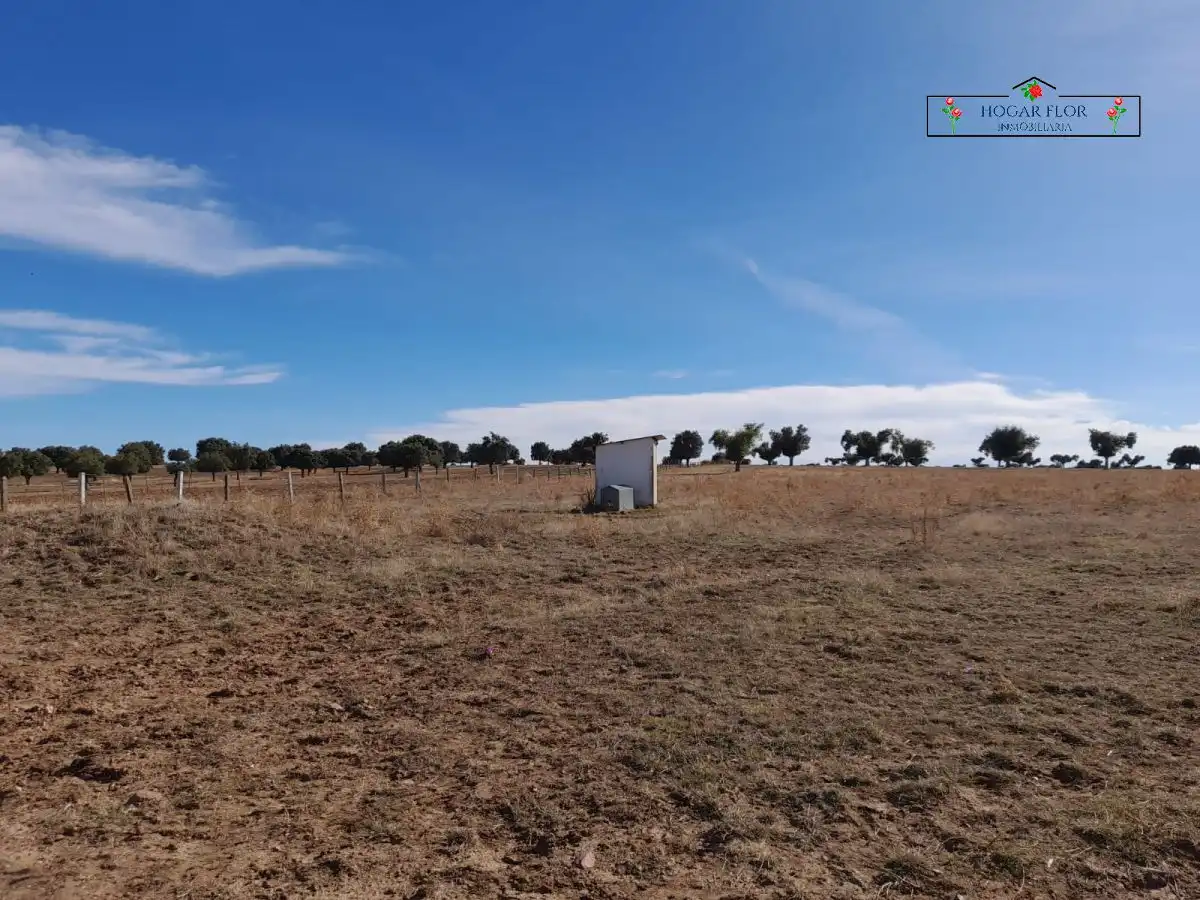Finca rústica en venta en Carrascal del Obispo