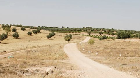 Se vende Solar Urbano en Campo de Criptana, immagine 3