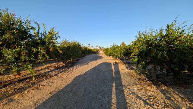 Terreno en Venta en La Algoda - Matola - Llano de San José