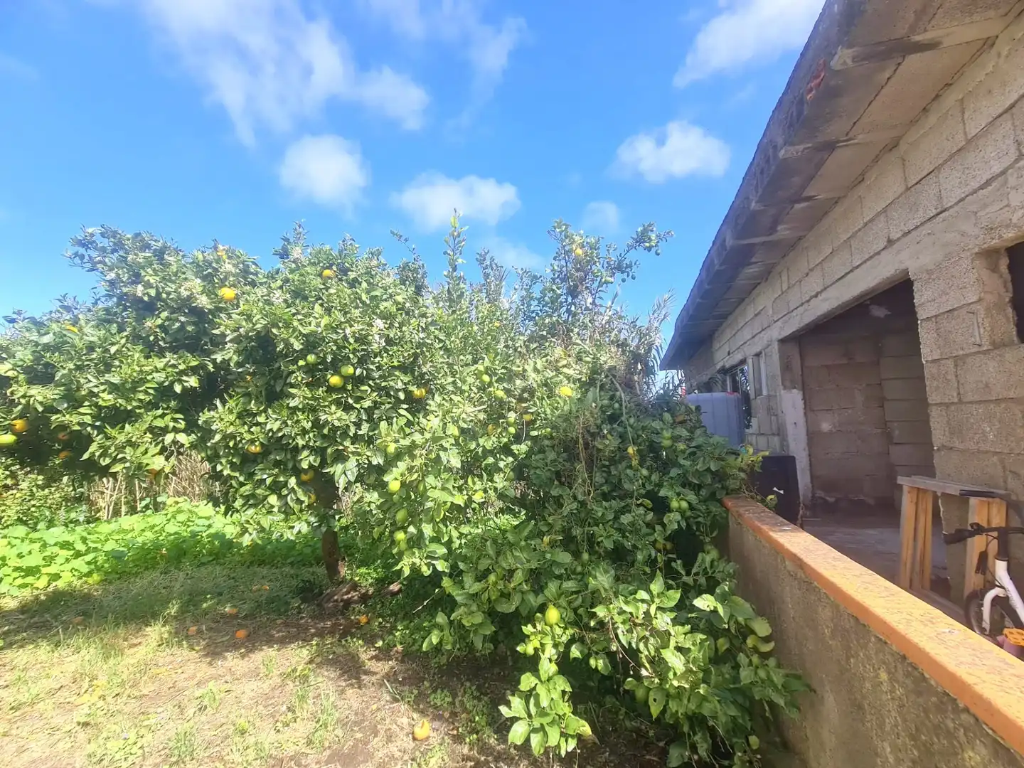 Casa o chalet en venta en Tacoronte con Jardín privado y Terraza