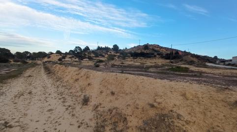 Photo 4 of Land for sale in Polígono del Rincón de Borisa, Pedanías Oeste, Aspe