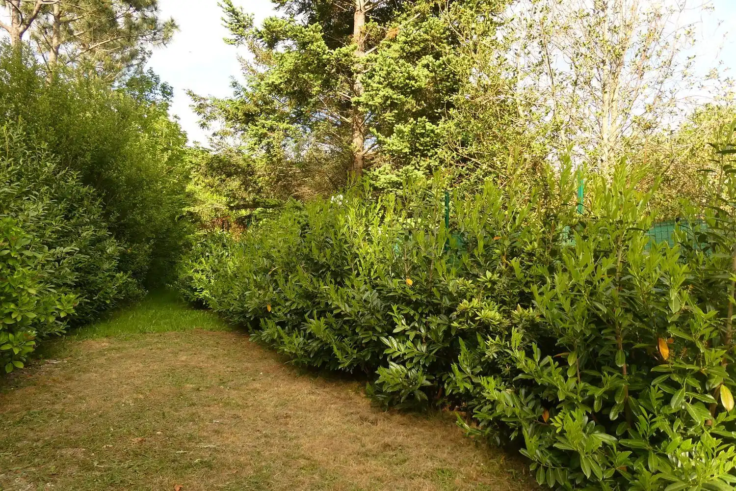 Villa avec jardin à vendre à ferreira, imagen 22