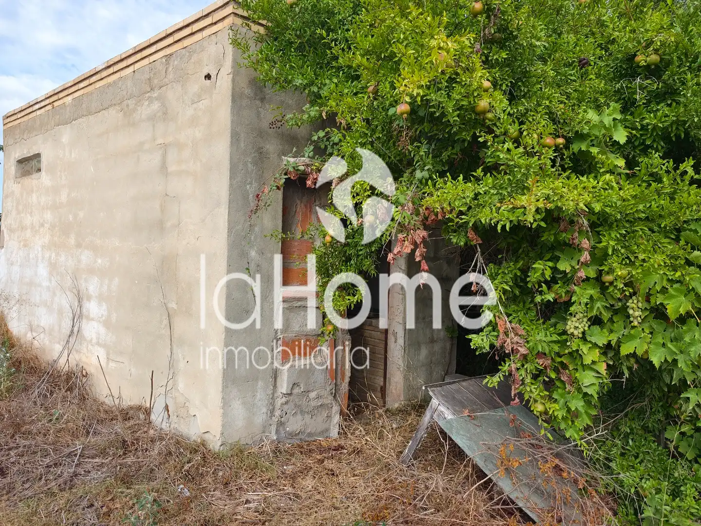 Terreno rústico en venta en CV-3710 164, imagen 7