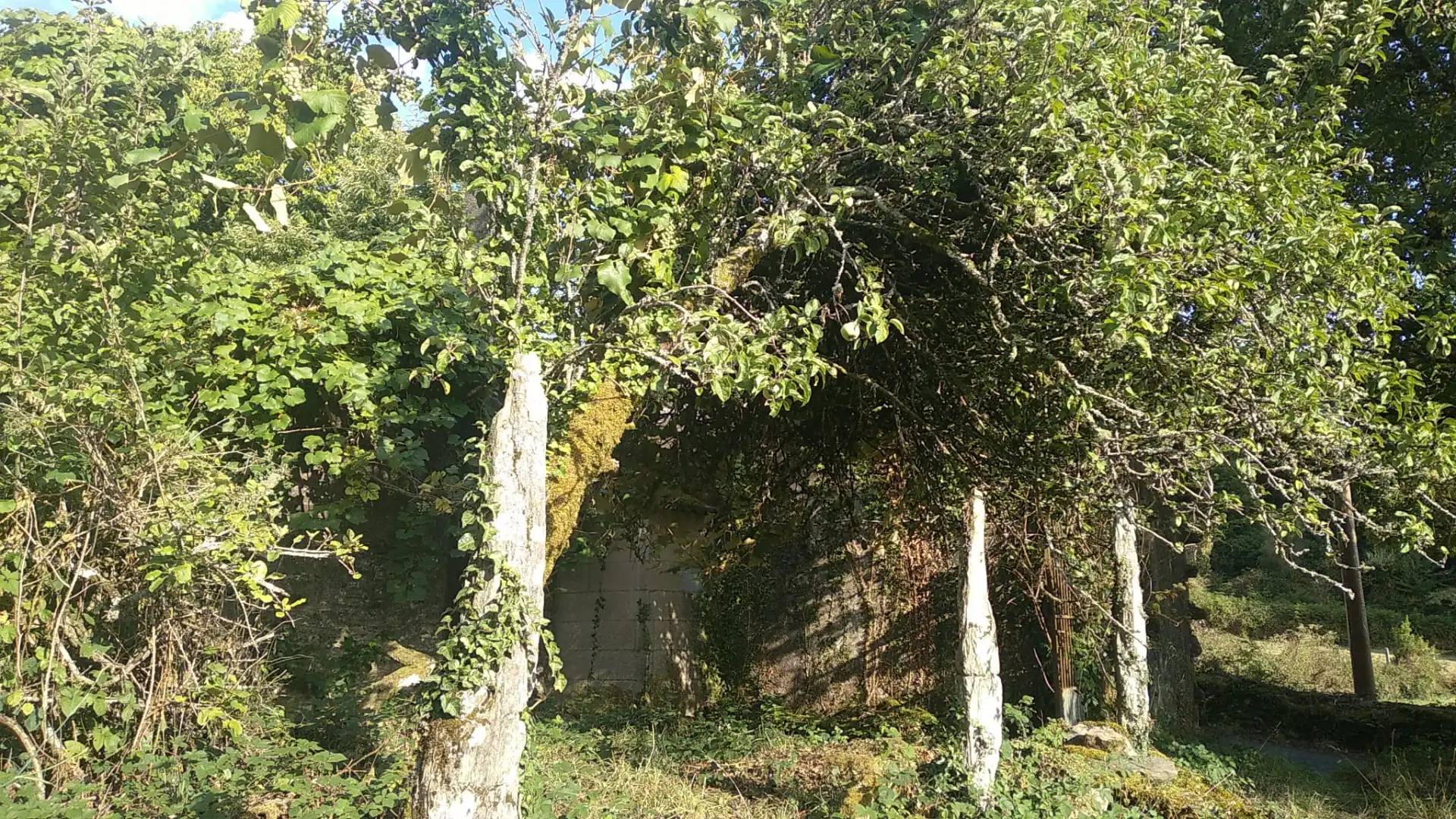Haus mit Garten zum Verkauf in Forcarei, imagen 12