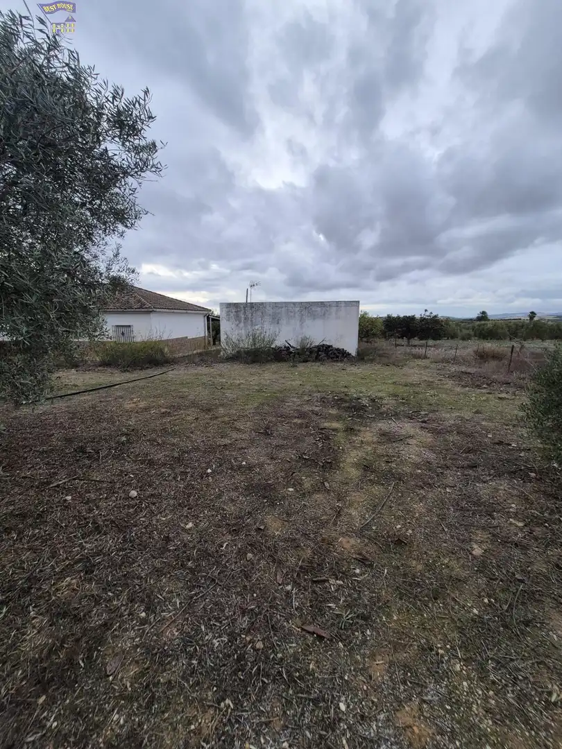Finca rústica en venda a Arcos de la Frontera