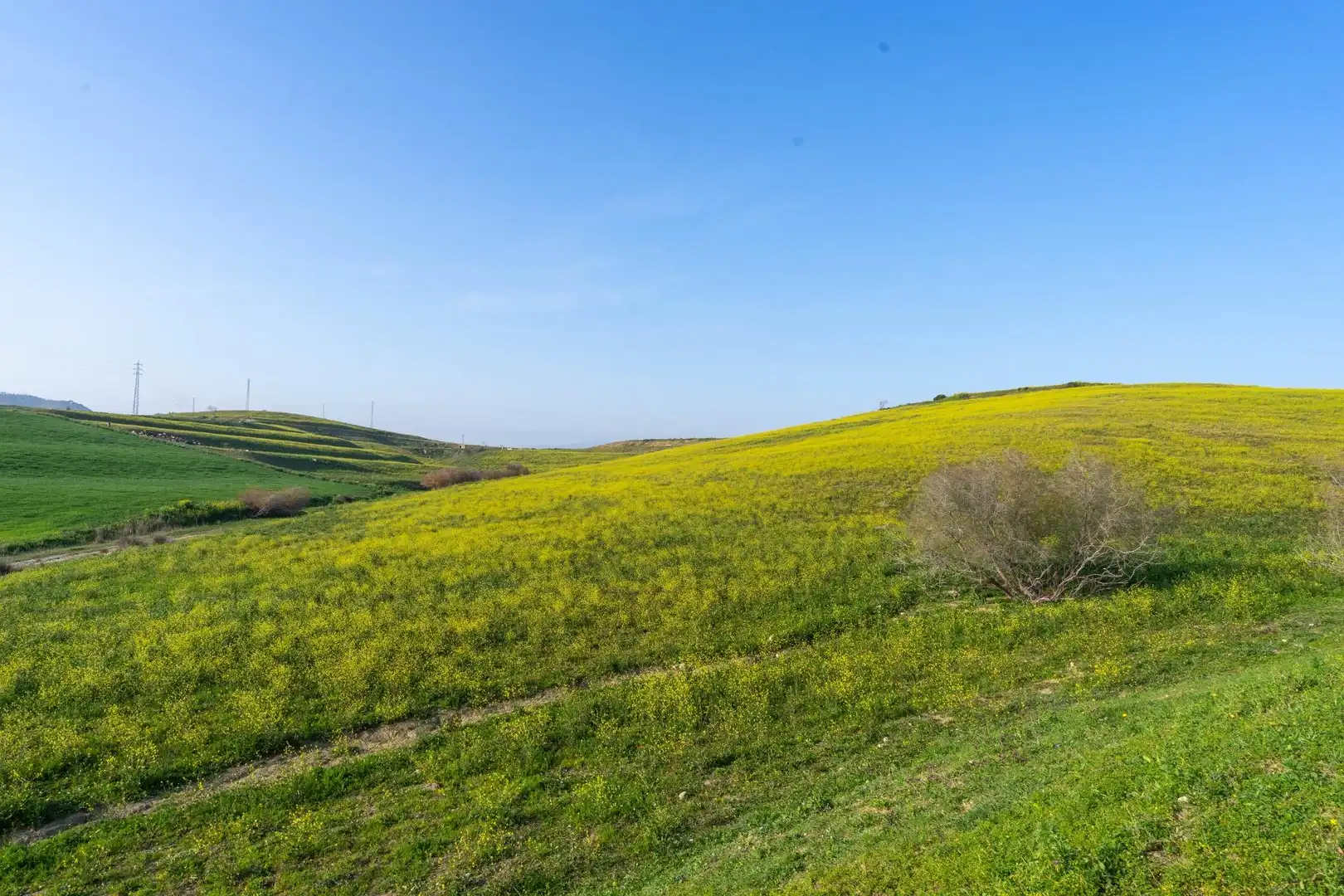 Rural land for sale in Casalpalma - Fahala, imagen 10