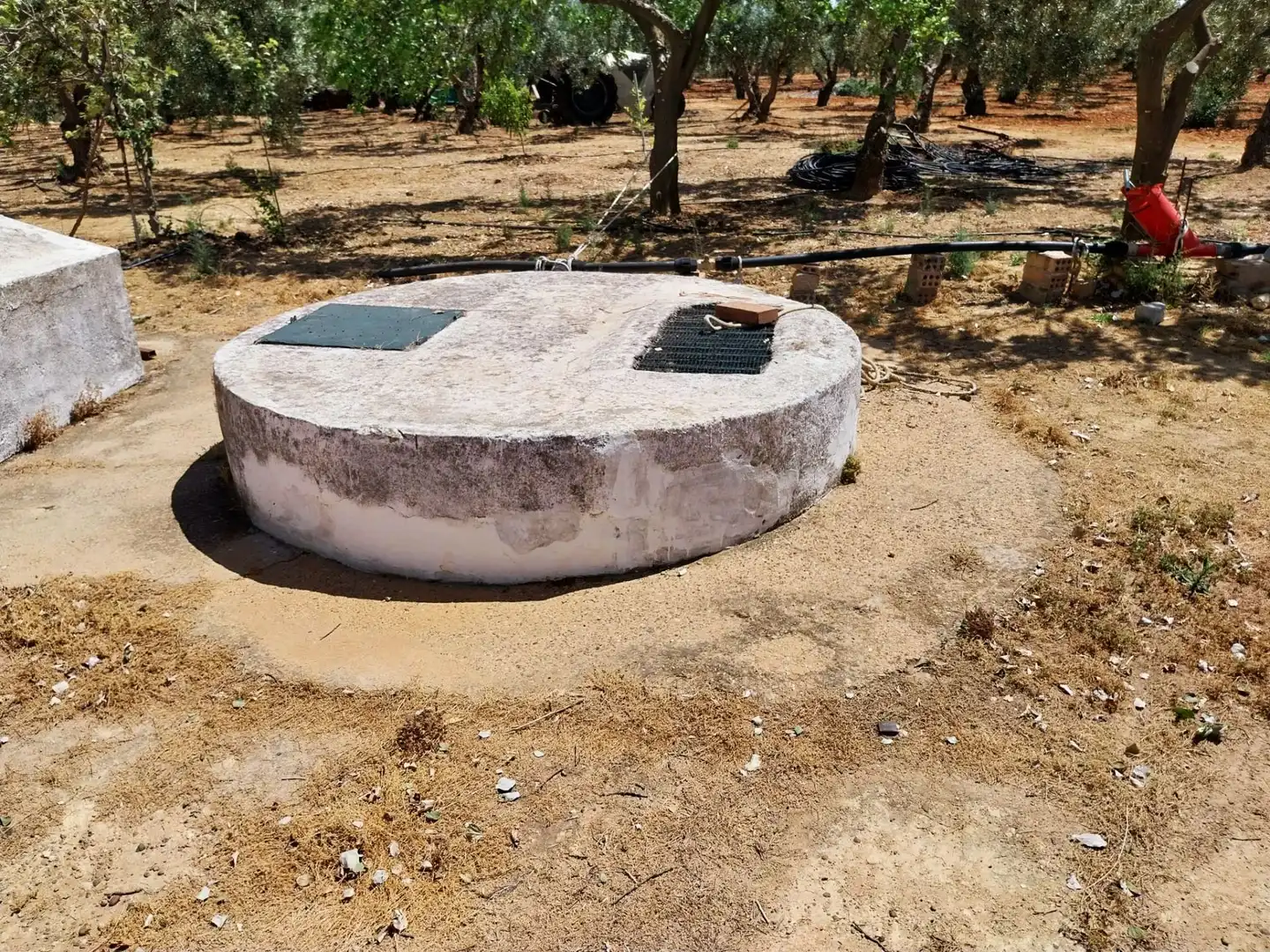 Finca rústica en venta en Carmona